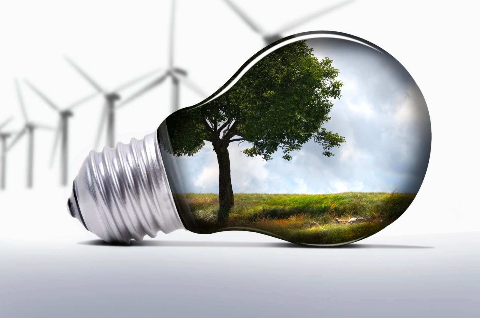 observ-eco-inovacao-banco-ideias-verdes