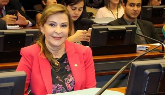 2015-07-23 - Deputada Dâmina Pereira destaca-se pela presença em plenário