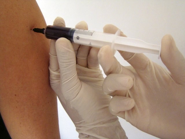 Anvisa autoriza última fase de testes da vacina contra dengue
Anvisa acompanhou todo o processo de desenvolvimento da vacina
Divulgação/EBC
